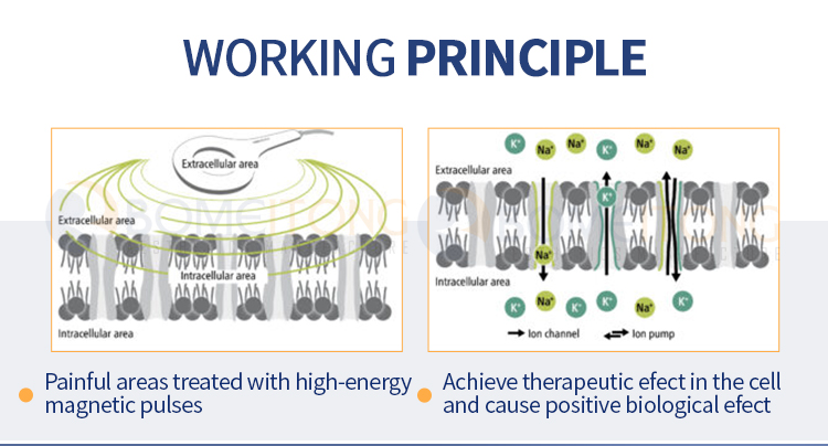 Pulse Arthrosis Magnetic Therapy Refactions Machine Rehabilitacion Portable