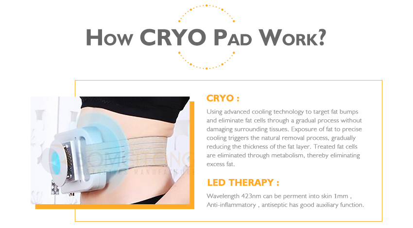 Portable Mini Fat Freezing Cryolipolysis Body Slimming Machine