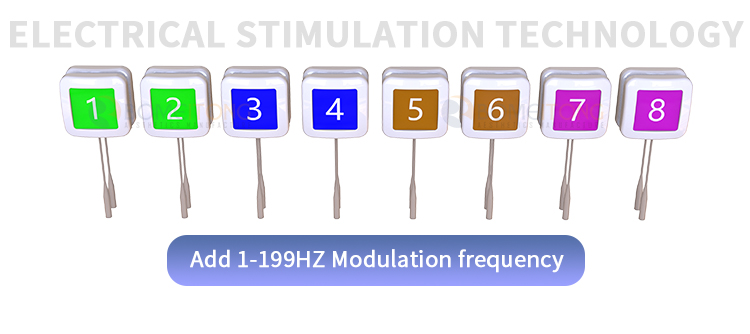 Professional Body Sculpting Equipment for Sale