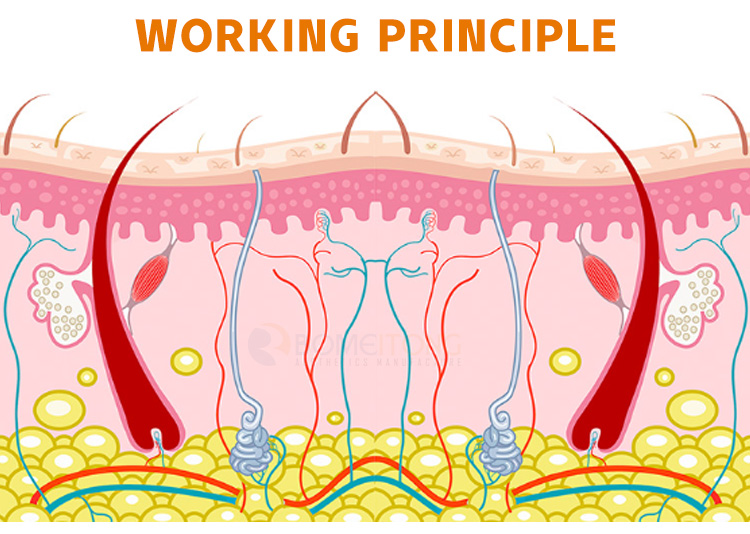 6D lipo fat freeze machine Body Shape slimming cellulite reduction skin tightening