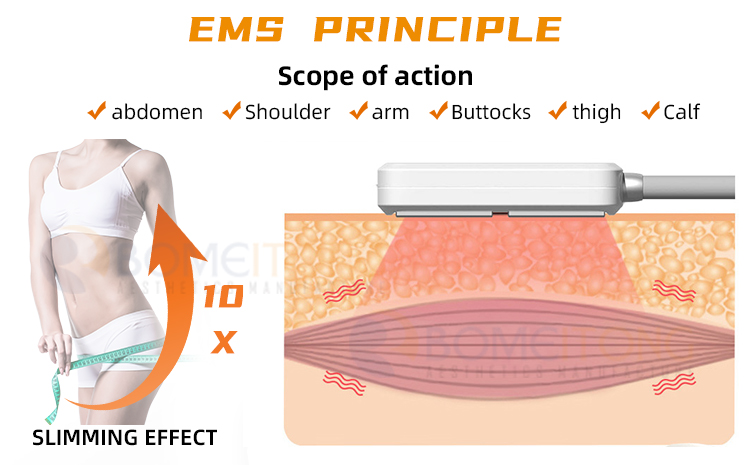 Ems Cryo Pads Machine Body Sculpting 8pcs Flat Cryolipolysis