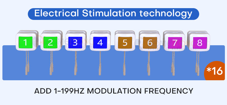 Best muscle building machine body building id flex portable