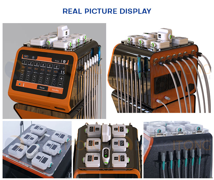 Best muscle building machine body building id flex portable