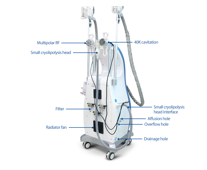 fat freezing equipments back
