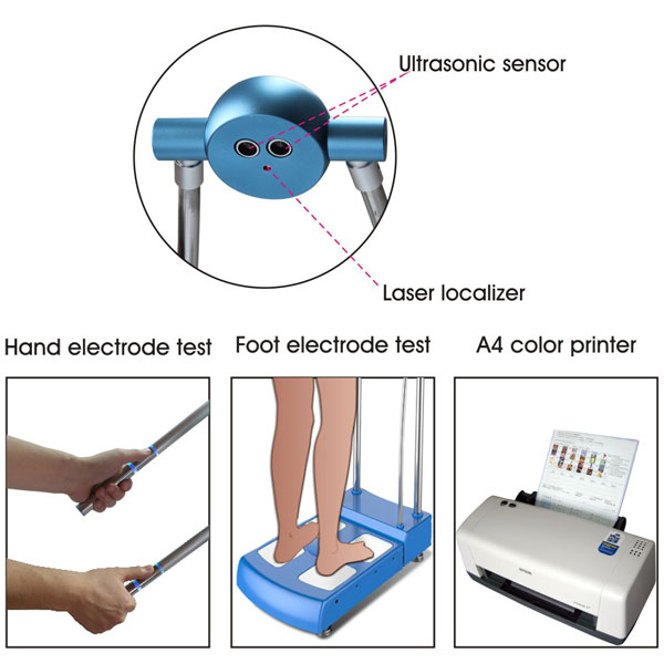 Professional Body Composition Analyzer with Printer