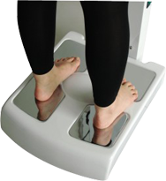 Body Composition Analyzer Fat Professional Machine