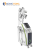 Cost of Fat Freeze Cryolipolysis Machine with Double Chin Handle